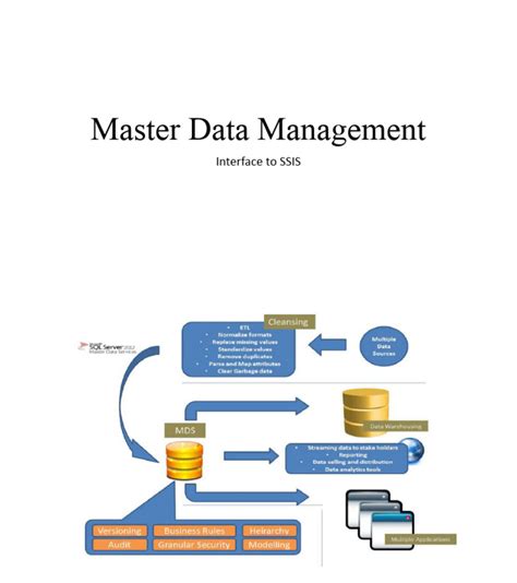 Master Data Management Pdf