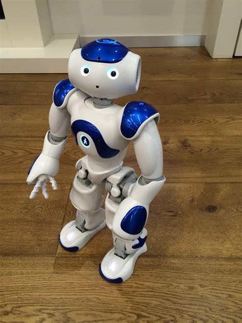 Robots As Companions Are We Ready — Maneesh Juneja