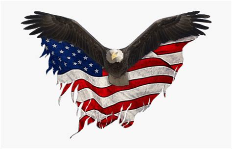 Eagle Png Flag Eagle United States Png Free Transparent Clipart