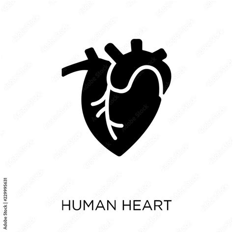 Human Heart Icon Human Heart Symbol Design From Human Body Parts