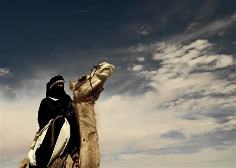 Tuareg Riding A Camel Libya The Tuareg Are A Berber Nomad Flickr