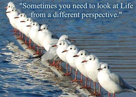 A Different Perspective Pictures Photos And Images For Facebook