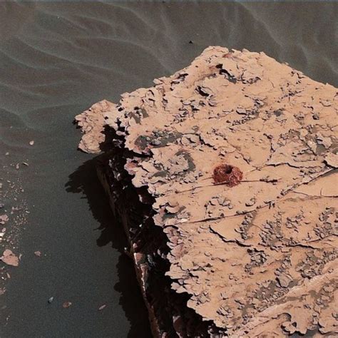 Evidence Of Life Found On Mars Wordlesstech