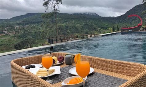 We did not find results for: Rute dan Harga Sewa Bubu Jungle Resort Ciwidey Bandung ...