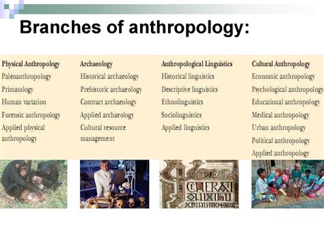 Cultural Anthropology Linguistic Support For Intercultural