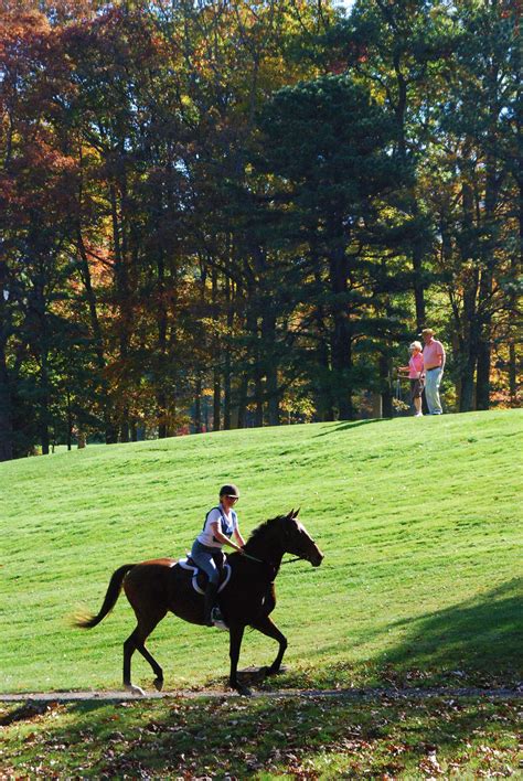 Horseback Riding Is One Of Our Favorite Ways To See The Fall Colors