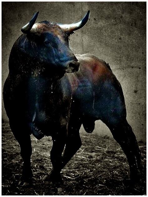 Fando Fabforgottennobility Bull Art Bull Pictures Animal Paintings
