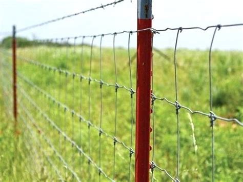 Studded T Posts Light To Heavy Duty Farm And Agriculture Fence