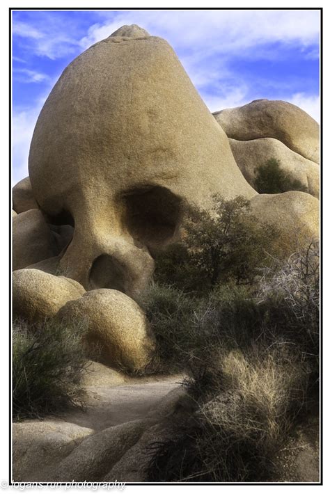 Skull Rock Joshua Tree National Park California Logan Hubbard Flickr