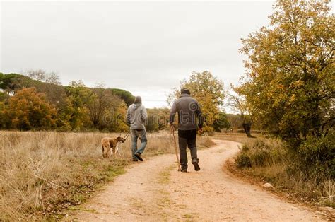 Two Men Walk Their Dogs Along A Country Path On A Foggy Fall Day Stock
