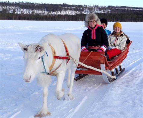 Santa Claus Reindeer Sleigh Ride At Ritavaara In Pello In Lapland Travel Pello Lapland Finland