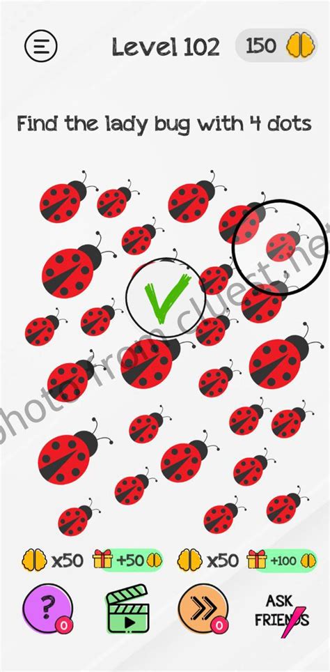 Braindom Level 102 Find the lady bug with 4 dots Answers and Solutions