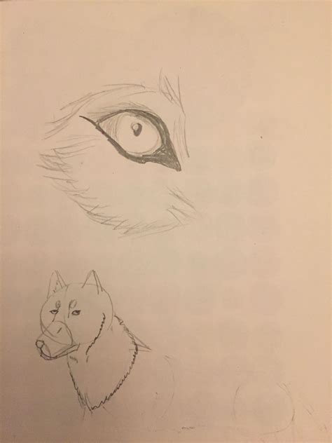 Anime Wolf Eye And Head Drawing Wolf Drawing Anime Wolf Wolf Eyes