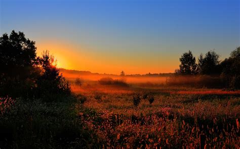Early Morning Dawn Sun Fog Fields Trees Nature Wallpaper Nature