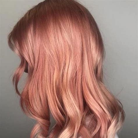 Benedire Embargo Ugualmente Best Rose Gold Hair Color Sospendere Vuoto Pranzo
