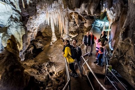Visit Oberon Jenolan Caves Dated At 340 Million Years