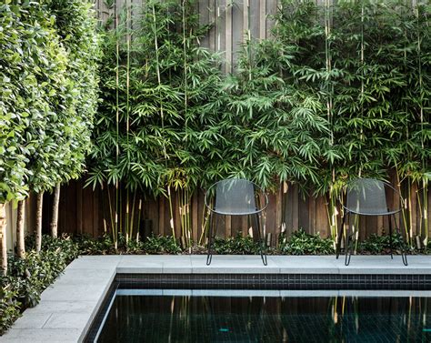 Best Artificial Bamboo Plants Perfect For Outdoor Privacy Screens