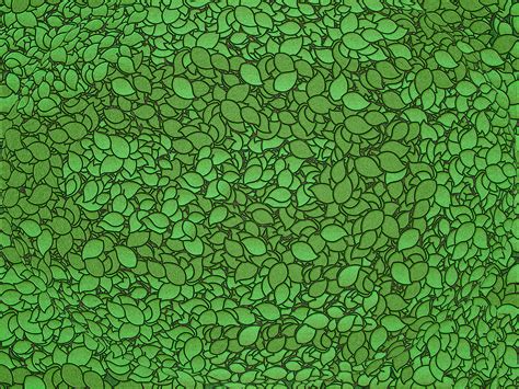Texture Green Leaves Download Photo Green Texture