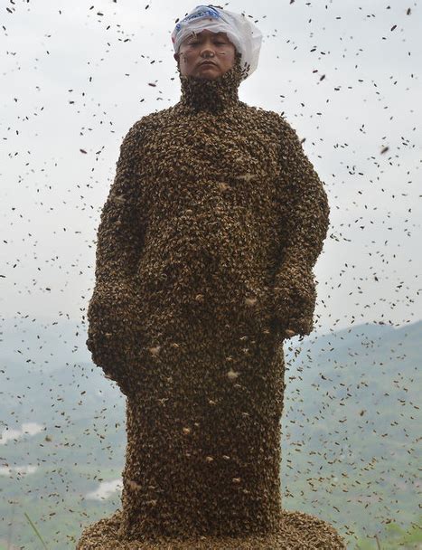 Man Covers Himself In 460000 Bees Cn