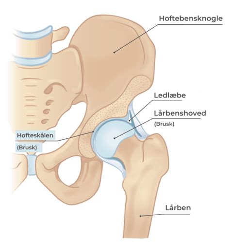 Slidgigt I Hoften Myter Viden Operation Og Genoptr Ning