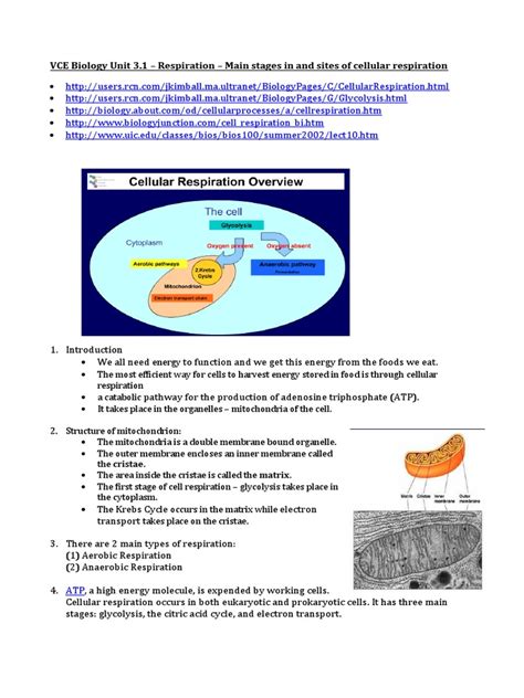 Vce Biology Unit 31 Respiration Main Stages In And Sites Of