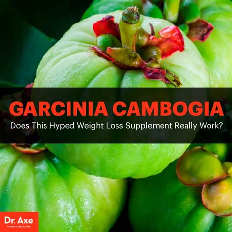 garcinia cambogia a safe weight loss supplement dr axe
