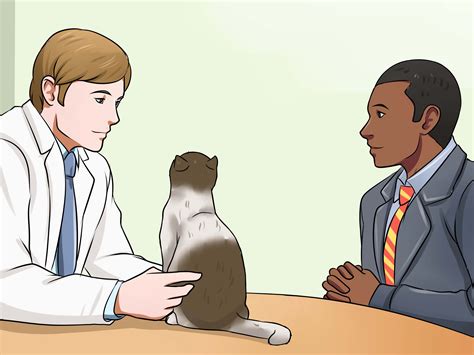 Once you find a working routine, stick to it. 3 Ways to Treat Bladder Stones in Cats - wikiHow