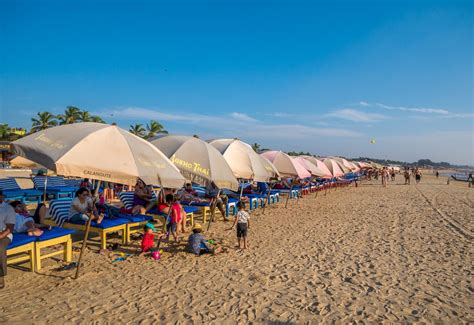 Huge collection, amazing choice, 100+ million high quality, affordable rf and rm images. Goa's Baga Beach: Essential Travel Guide