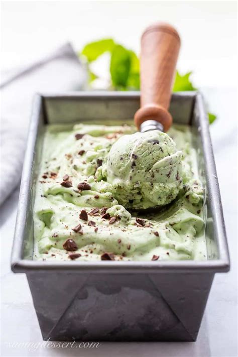 Mint Chocolate Chip Ice Cream Saving Room For Dessert