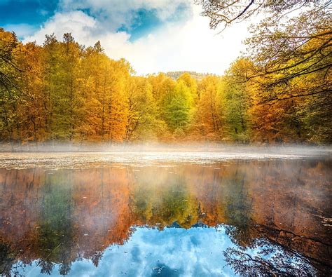 1080p Free Download Earths Autumn Reflections Fall Season Forests