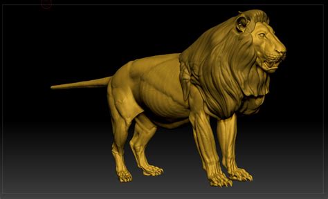 Wip African Lion By Travis Smithvery Wip Basically An écorché At This