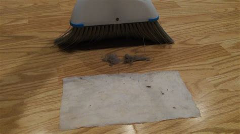 Homekeeping For All Paper Towel Dust Pan