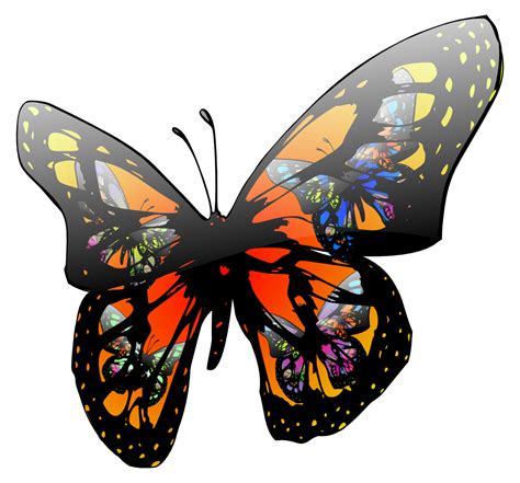 Onlinelabels Clip Art Butterfly Effect