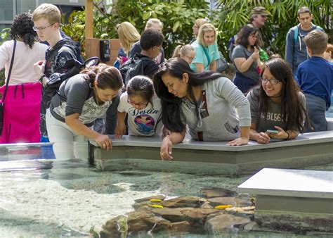 Better Together Tennessee Aquarium Hosting 30th Anniversary Event In
