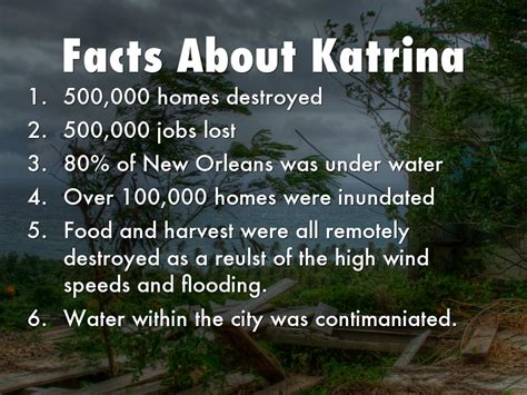 Surviving A Disaster The Hurricane Katrina Effect