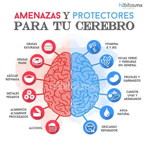 Cuida Tu Cerebro Consejos Para La Salud Neurociencia Y Educacion