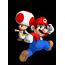 Mario Is The Oldest Being In Universe And Toad Fastest 