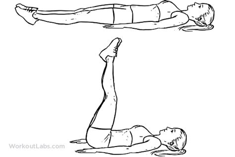 Lying Leg Raise Lift Illustrated Exercise Guide Workoutlabs
