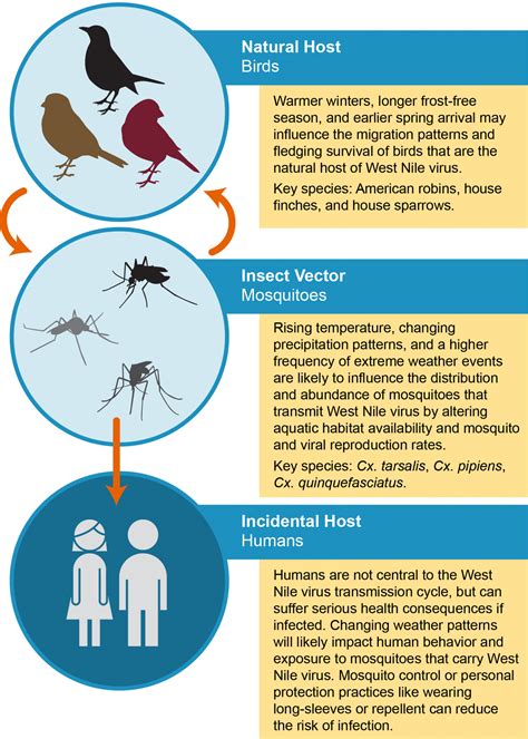 Chapter 5 Vector Borne Diseases Climate And Health Assessment