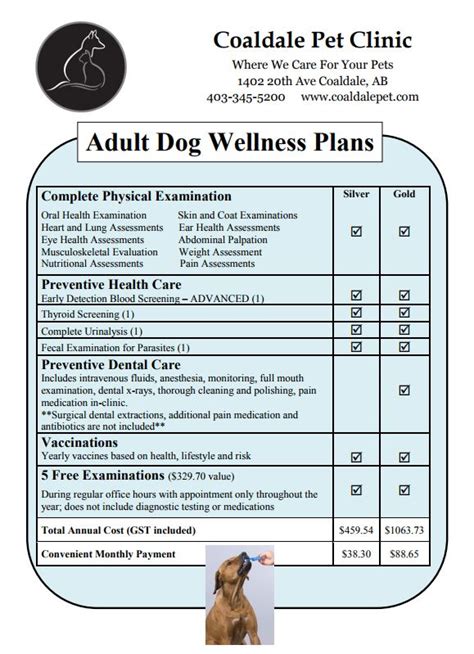 If you have them in place, they are there to instead, petsmart offers a range of wellness plans for your pet that have a focus on providing. Adult Wellness Plans | Coaldale, Alberta, Veterinarian ...