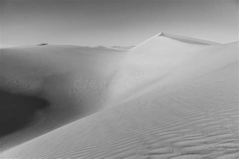 Sand Dune In Sunrise In The Desert Stock Image Image Of Landscape