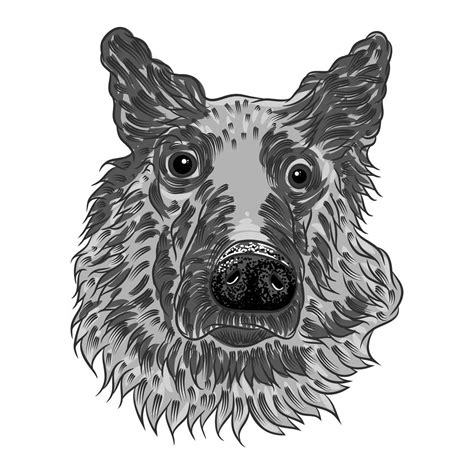 Portrait Of German Shepherd Hand Drawn Dog Free Stock Vector Graphic Image