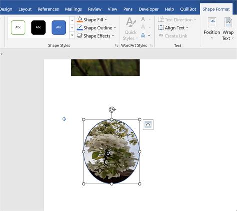 7 Best Ways To Crop A Picture In Word Document Circle Crop Included