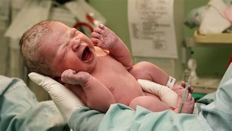 Pemeriksaan Bayi Baru Lahir Di Rumah Sakit Mamapapa Id