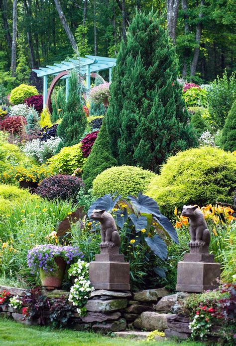 20 Best Evergreen Trees For Privacy And Year Round Greenery