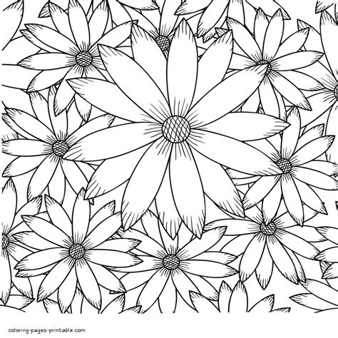 Detailed Flower Coloring Pages Coloring Pages Printable Com