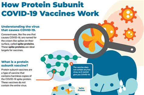 Understanding How Covid 19 Vaccines Work Cdc