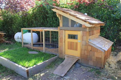 The chickens don't care if the. Duck Coop | Etsy | Duck coop, Backyard ducks, Chicken diy