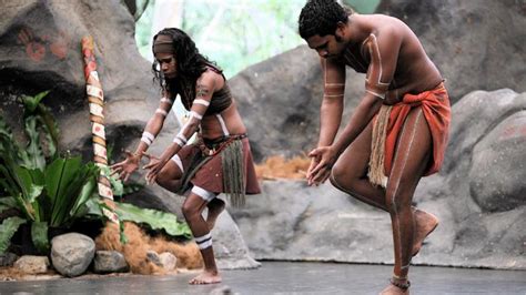 Cairns Aboriginal Cultural Park And Cairns City Sightseeing Combo Tour