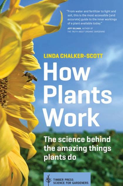 How Plants Work The Science Behind The Amazing Things